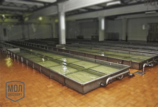 Фото 6 Солильный бассейн с охлаждением «БС-530», г.Барнаул 2022